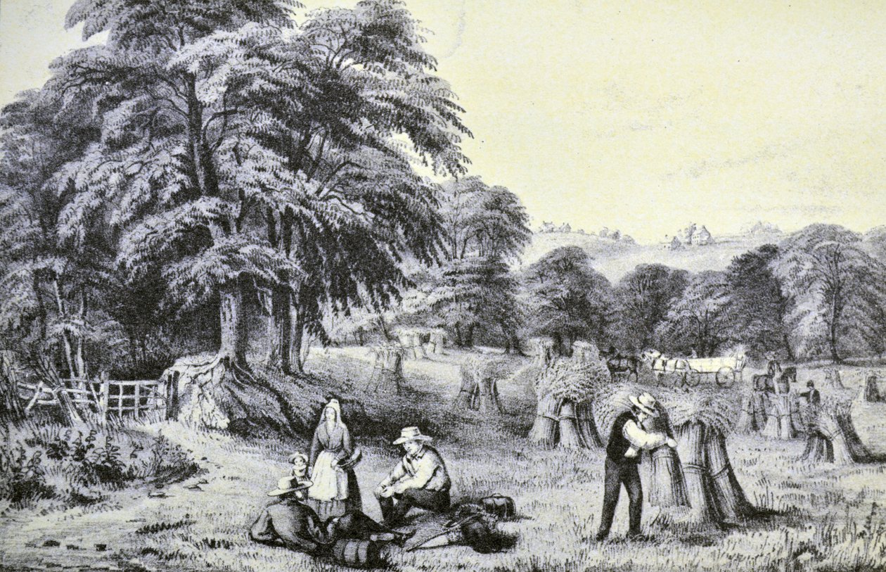 Currier & Ives Illustration القرن التاسع عشر. حصاد بواسطة N. and Ives، JM Currier