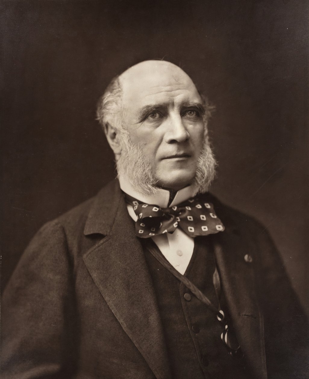 إيلي لويس ، دوك Decazes رجل دولة ودبلوماسي فرنسي ، 1819-1886 ، ج. 185377. بواسطة نادار
