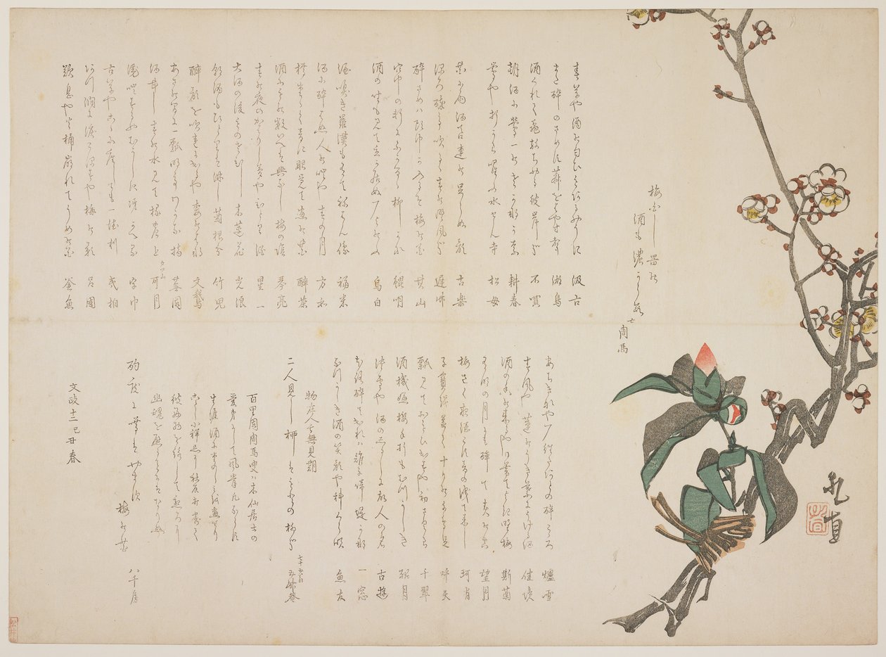 فروع بلوم وكاميليا ، 1829 (طبعة خشبية ملونة) بواسطة Nagayama Kchoku