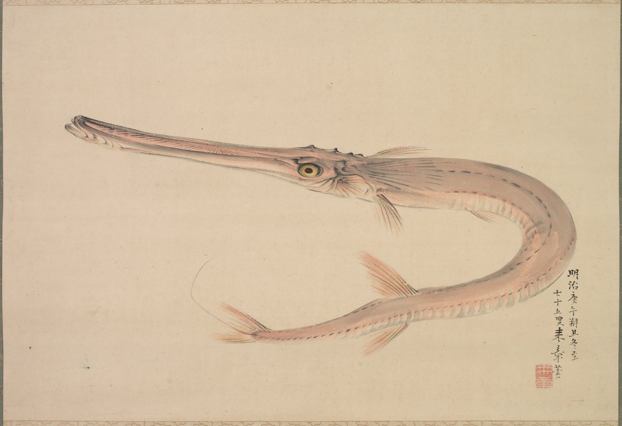 Needlefish (دائما) بواسطة ناكاجيما ريشو