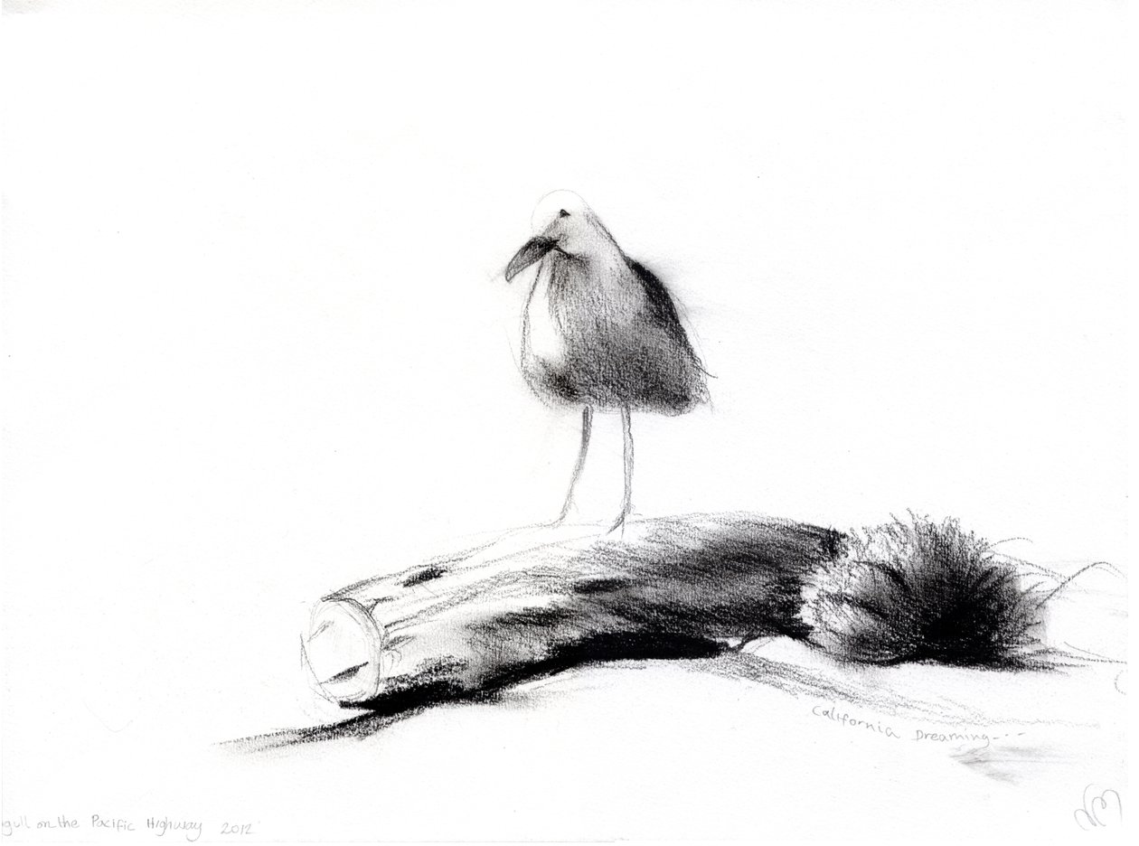 California Seagull ، 2012 ، (فحم على ورق) بواسطة نانسي مونيز شارالمبوس