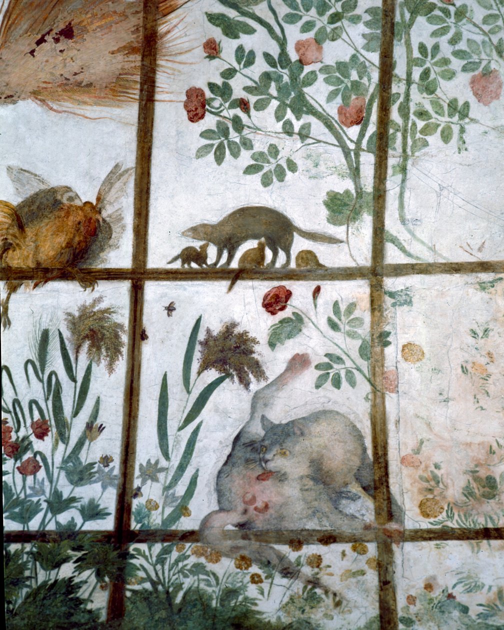 غرفة انتظار دراسة Studiolo لـ Francesco deMedici 1541-87 تفاصيل الزخرفة التي تصور الحيوانات في حديقة العريشة ، 1564-75 فريسكو بواسطة بارتولوميو عماناتي