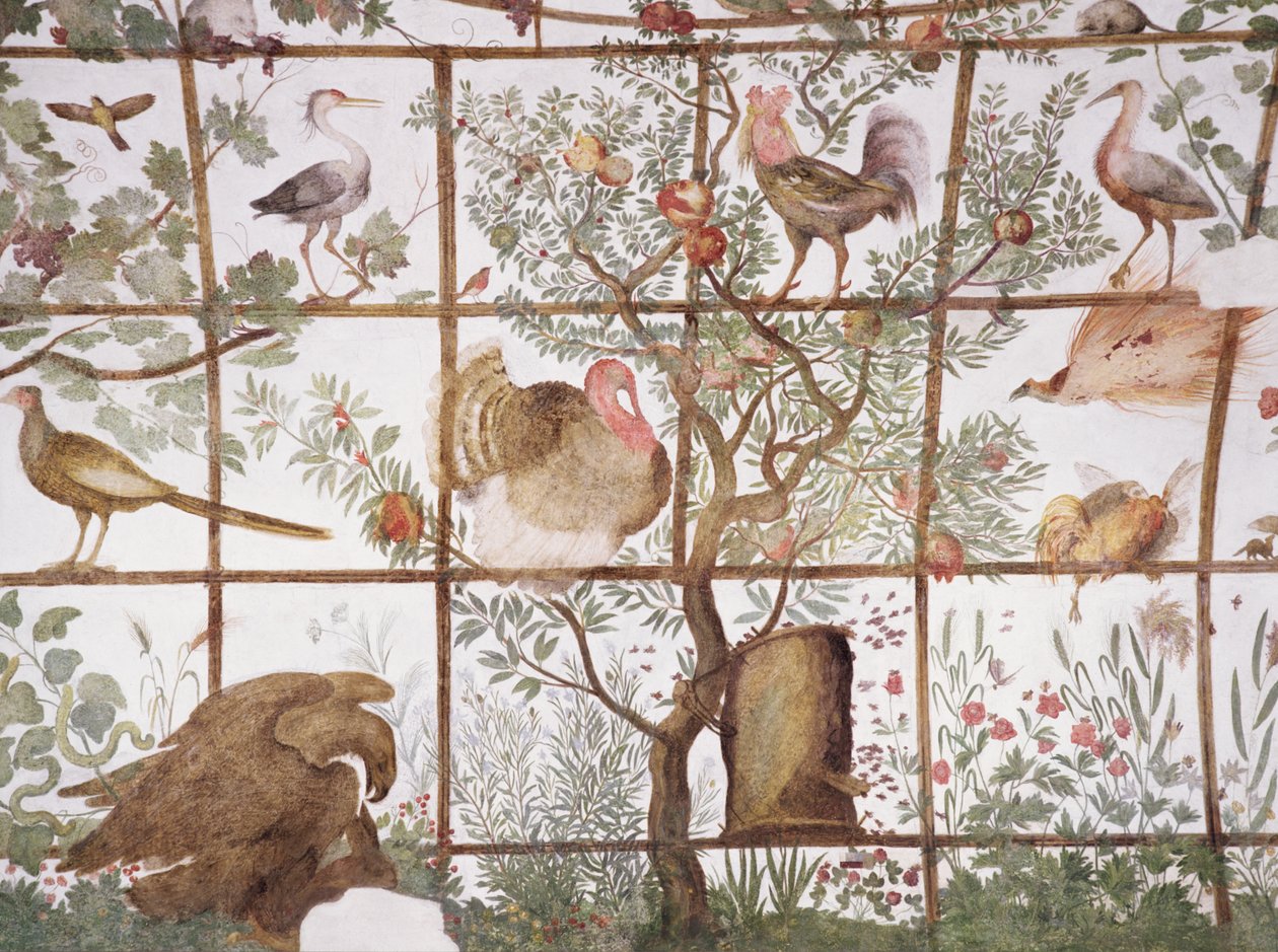 غرفة انتظار دراسة Studiolo لـ Francesco deMedici 1541-87 تفاصيل الزخرفة التي تصور الطيور في حديقة العريشة ، 1564-75 فريسكو بواسطة بارتولوميو عماناتي