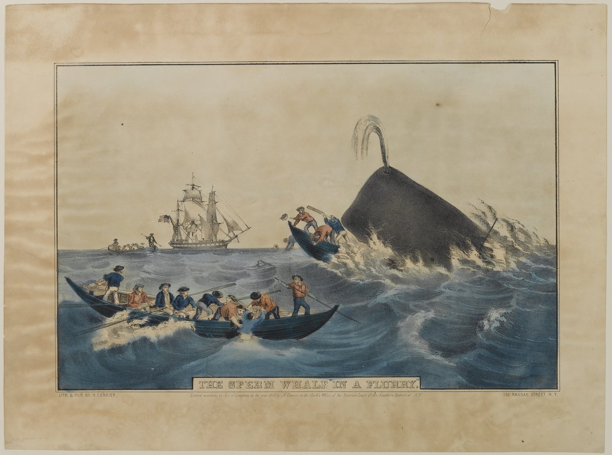 حوت العنبر في Flurry ، نشره N. Currier ، 1852 بواسطة ناثانيل كورير