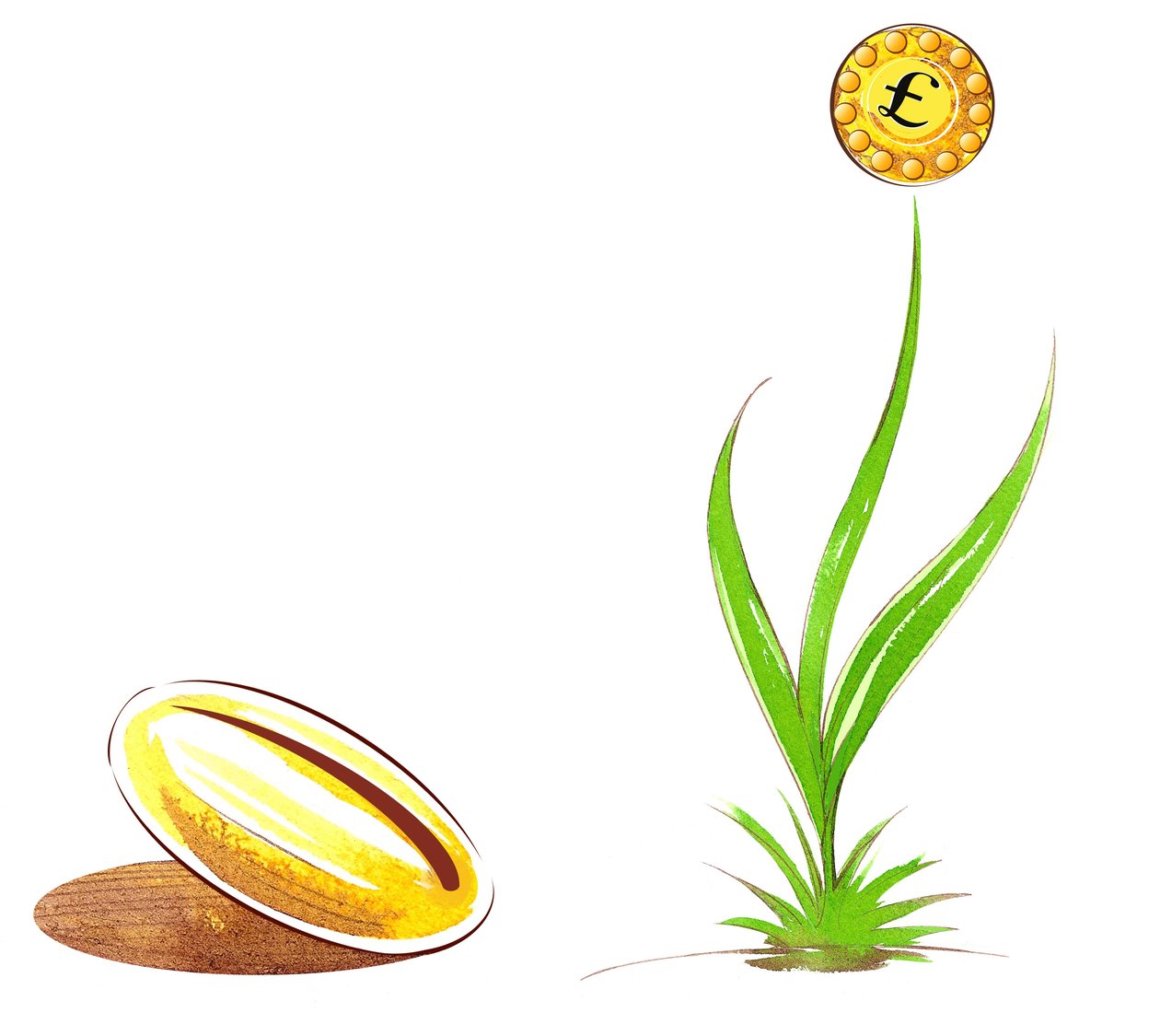 البذور واطلاق النار - توضيح للرمز المالي بواسطة نيل أوزبورن