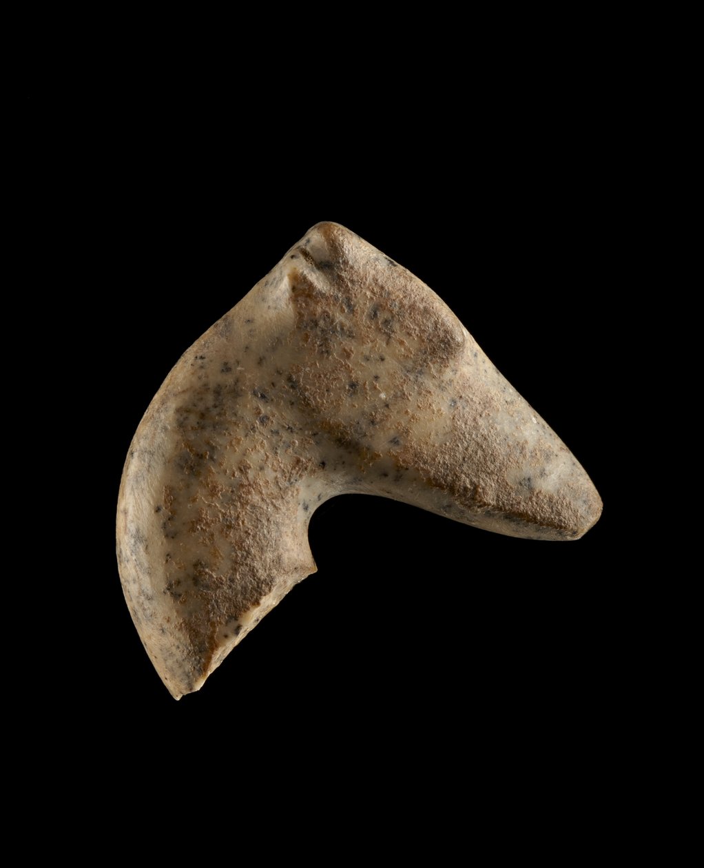 رأس الغزال الفارسي 6000-5500 قبل الميلاد (جرانيت) بواسطة العصر الحجري الحديث