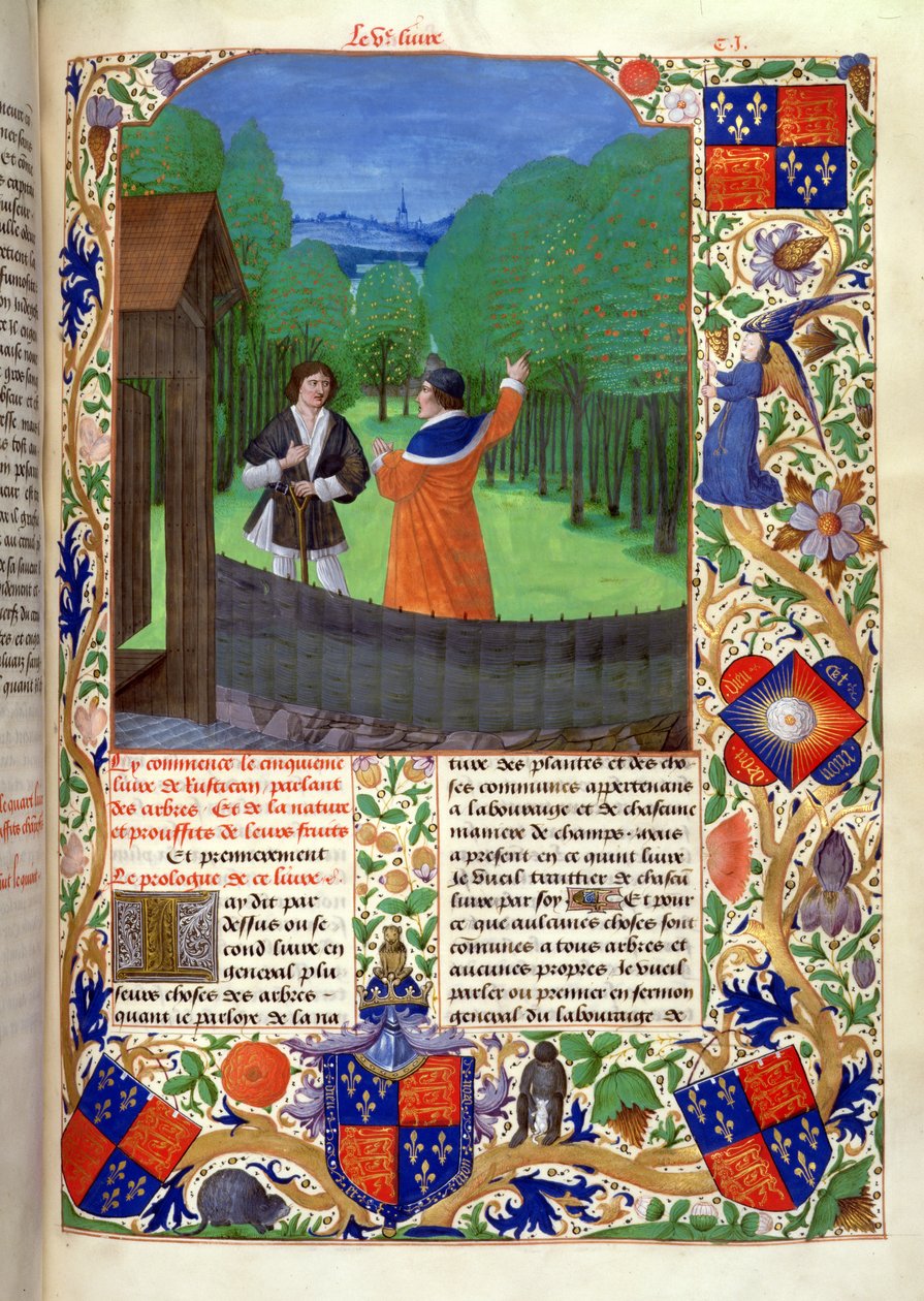 Roy 14 E VI f.110 خطابات المؤلف إلى بستاني في بستان ، من "Rustican du Cultivement des terres" ، أُعدم لإدوارد الرابع ، بروج بواسطة المدرسة الهولندية