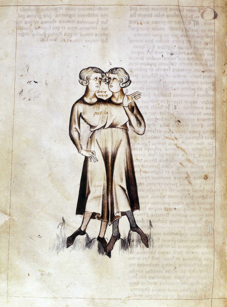 سلون 3983 f.8v رسم برج الجوزاء ، من ترجمة أطروحة فلكية فارسية بقلم جعفر بن محمد (ورق) بواسطة المدرسة الهولندية