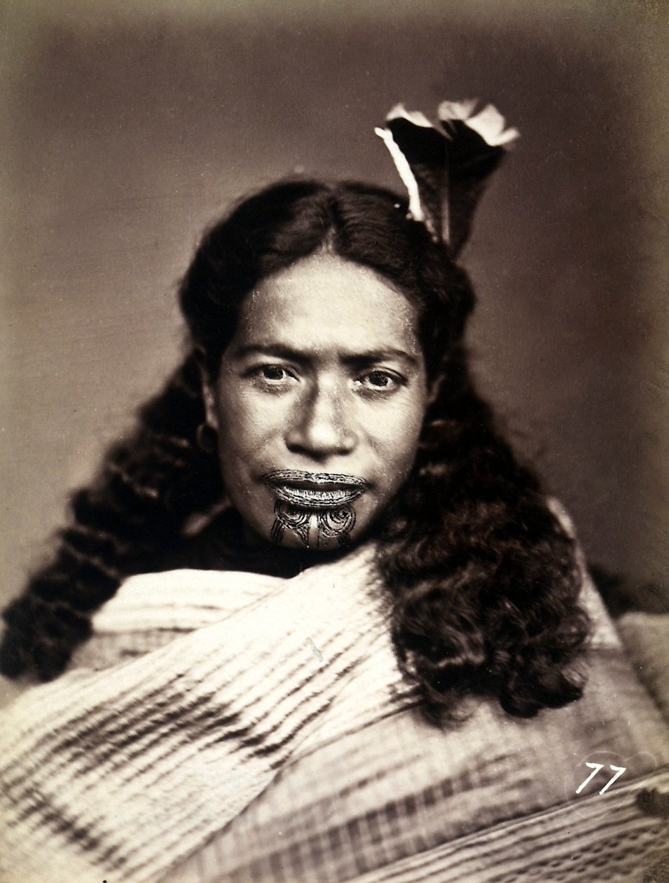 صورة الماوري مع وجه تاتو ، c.1886-88 بواسطة مصور نيوزيلندا