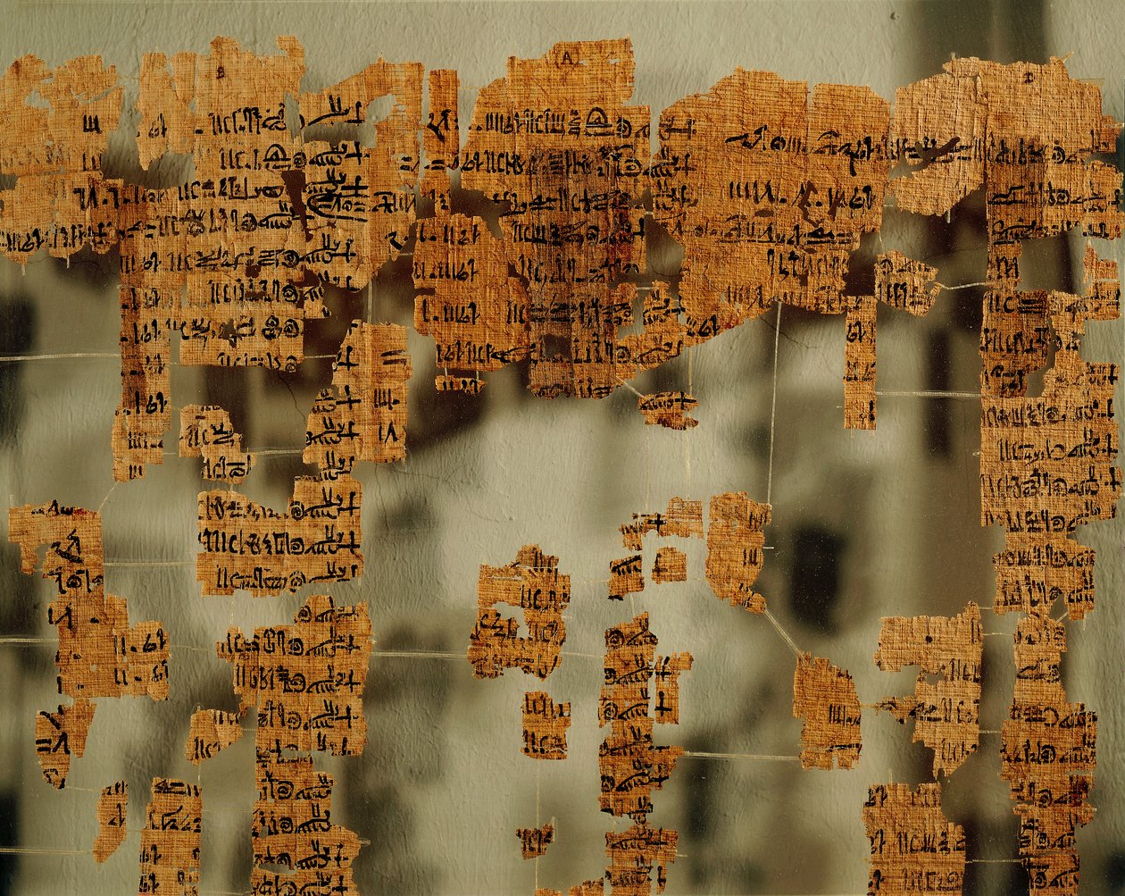 Fragments of the Papyrus of the King, or the Royal Canon (papyrus) بواسطة المملكة الحديثة المصرية