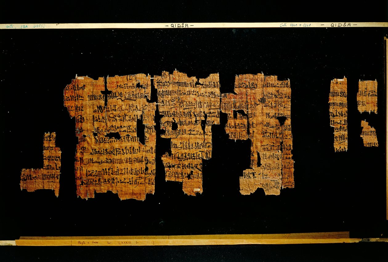 Fragments of the document containing the deeds of the Pharaoh Thutmose III (papyrus) بواسطة المملكة الحديثة المصرية
