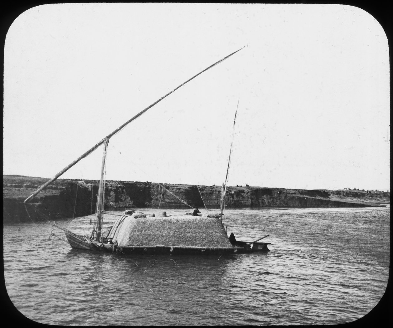 ذهبية لادن ، مصر ، c1890 بواسطة نيوتن وشركاه