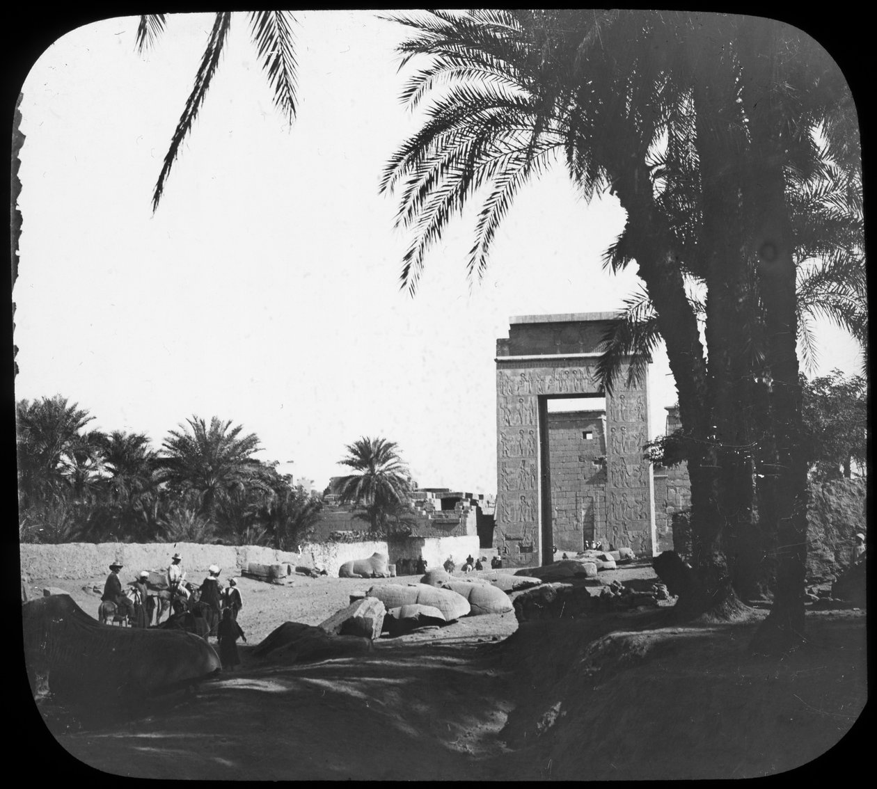 شارع أبو الهول ، الكرنك ، مصر ، c1890 بواسطة نيوتن وشركاه