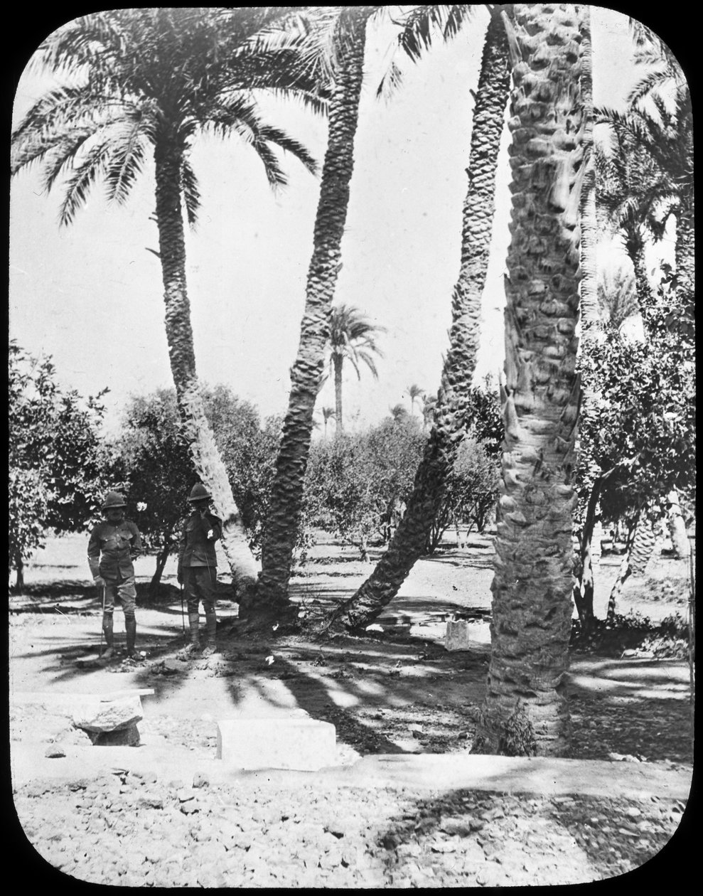جنرال جوردونز جاردن ، الخرطوم ، السودان ، c1890 بواسطة نيوتن وشركاه