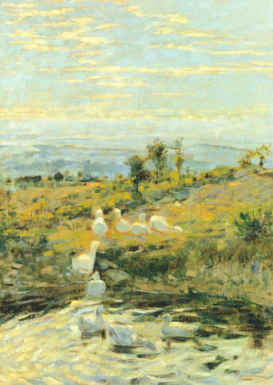 البط في الصباح ، حوالي 1892 ، بقلم نيكولو كانيشي (1846-1906). زيت على قماش ، 57.5 × 40.5 سم. بواسطة Nicocolo Cannicci