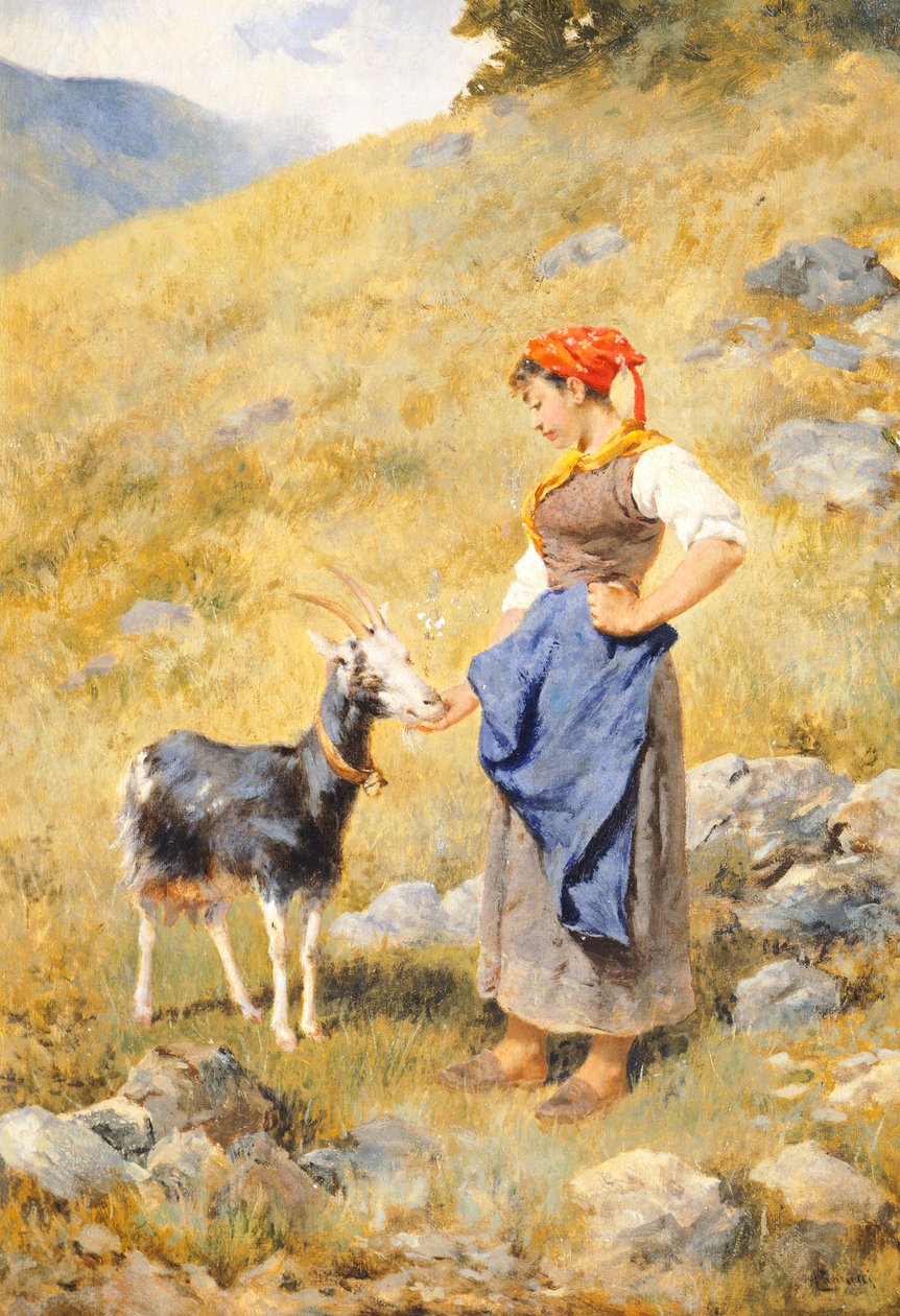 الراعي ، بقلم نيكولو كانيشي (1846-1906) بواسطة Nicocolo Cannicci