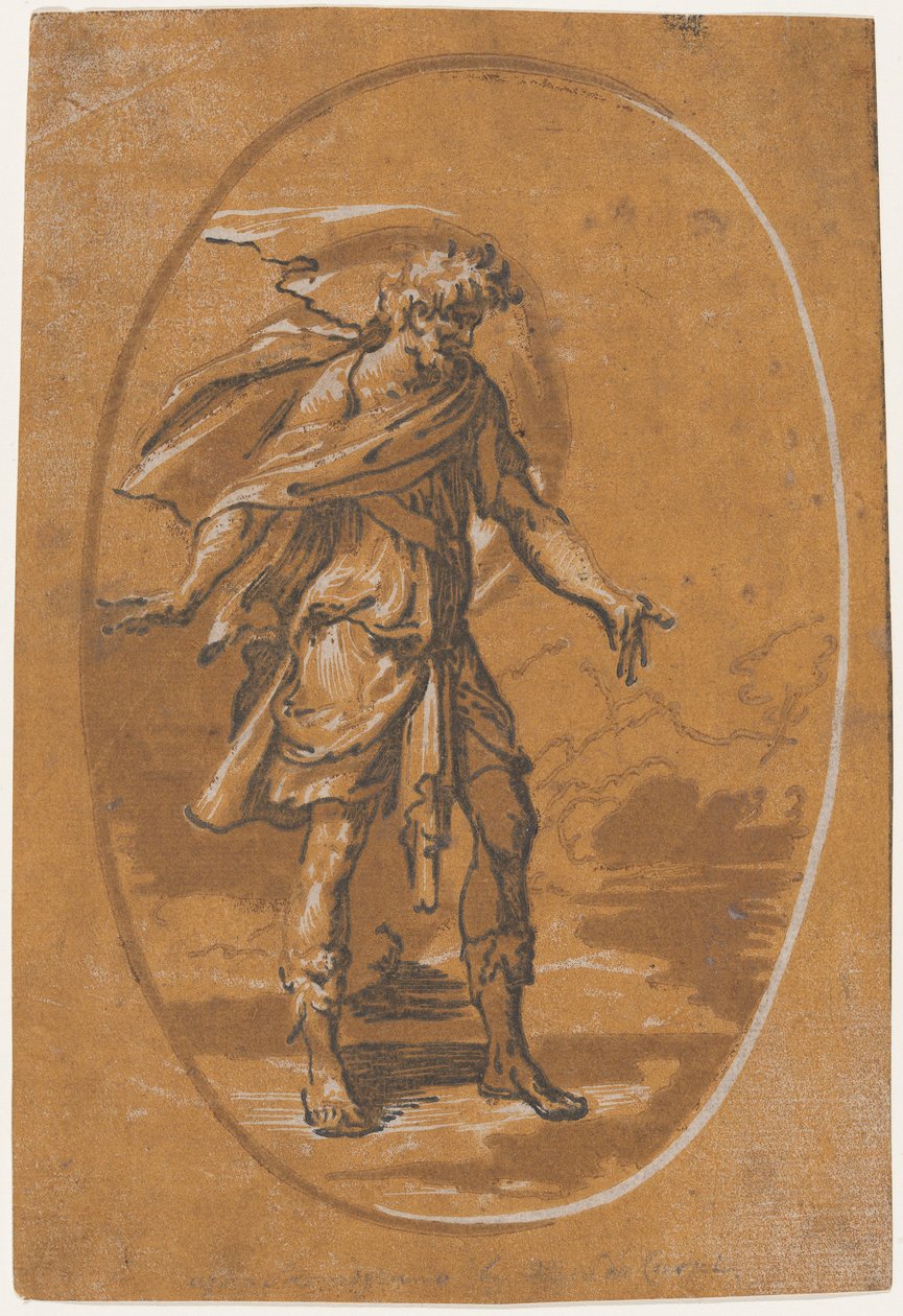 أوليمبوس سربرايز ، كاليفورنيا. 1540-50. ، كاليفورنيا. 1540-50. بواسطة نيكولو فيسينتينو