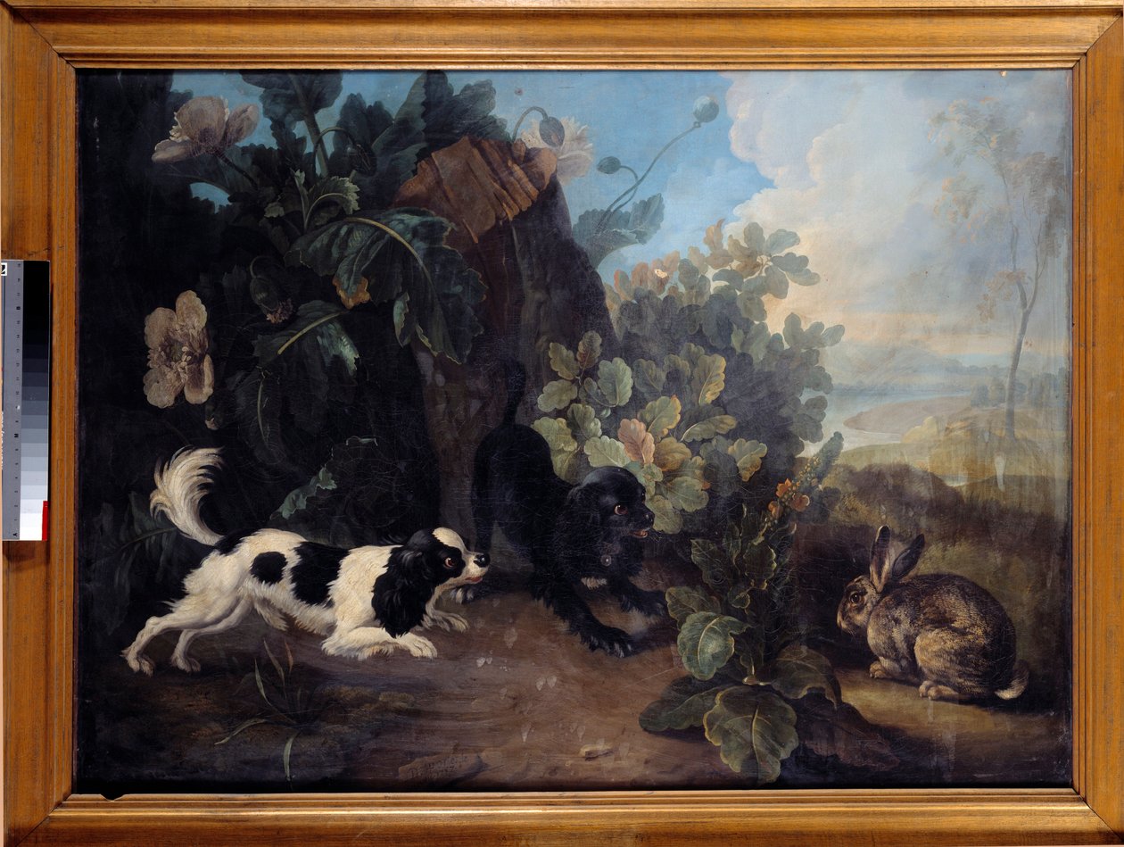 كلبان ورسم أرنب بقلم نيكولاس ديسبورتس ديت لو نيفو (1718-1787) 1757 صن. 0،97x1،3 م باريس ، متحف اللوفر بواسطة نيكولاس ديسبورتس