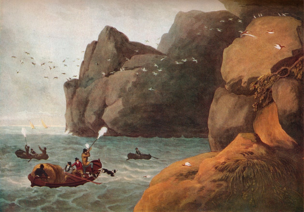 "إطلاق النار على البفن" ، c1806 بواسطة نيكولز وملاحظة
