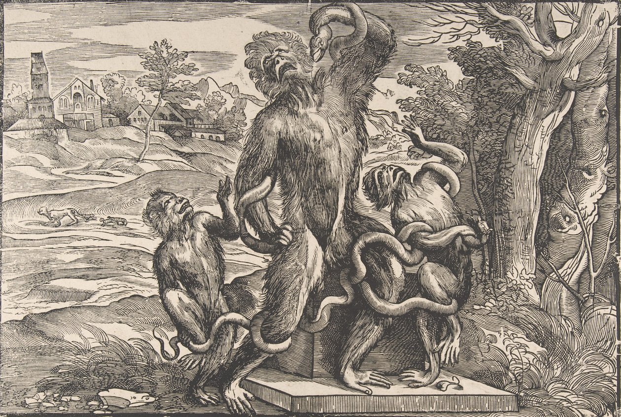 رسم كاريكاتوري لمجموعة Scuptural ، "Laocoön" ، كاليفورنيا. 1540-45. ، كاليفورنيا. 1540-45. بواسطة نيكولو بولدريني.