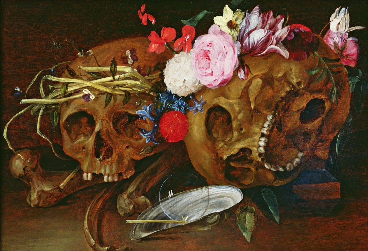 Vanitas Still Life with Skulls، Flowers، a shell بلح البحر اللؤلؤي ، فقاعة وقشة بواسطة Nicolaes van Veerendael
