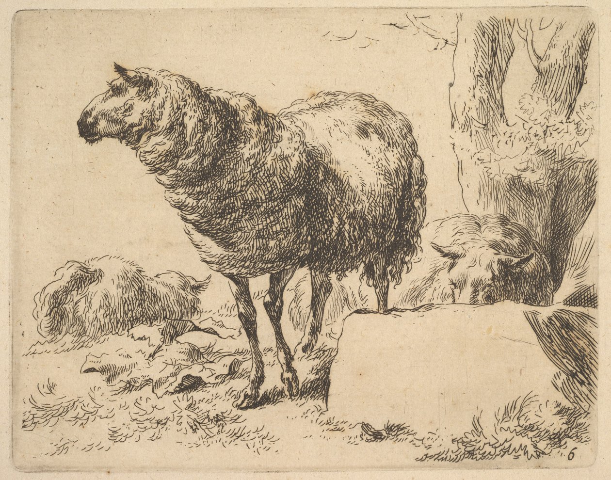 من The Set of Sheep. بواسطة نقولاس بيرشم
