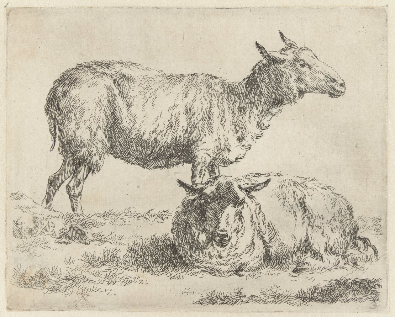 Staand en liggend schaap شابين (عنوان المسلسل) الحيوانات تنجذب إلى الحياة وتُطبع بالماء للحصول على هواء قوي بواسطة Studio and Art of Nicolai Berchem (عنوان السلسلة) بواسطة نيكولاي بيترز بيرتشيم