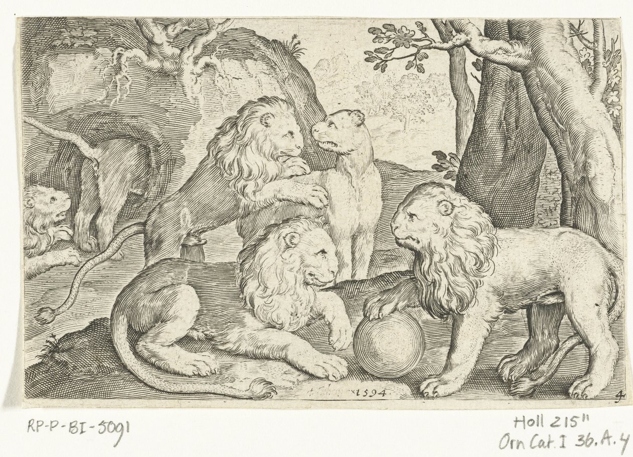 أسود Animalivm Qvadrvpedvm (عنوان المسلسل) الحيوانات في المناظر الطبيعية (عنوان السلسلة) بواسطة نيكولايس دي بروين