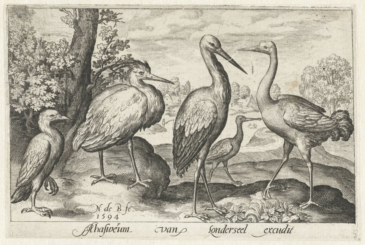 اللقلق ، الرافعة ، مالك الحزين و spoonbill الطيور والحشرات (عنوان المسلسل) بواسطة نيكولايس دي بروين