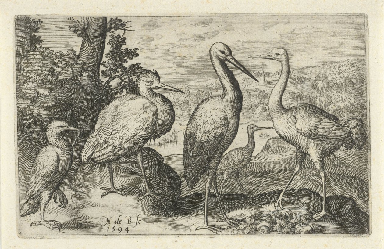 اللقلق ، الرافعة ، مالك الحزين و spoonbill الطيور والحشرات (عنوان المسلسل) بواسطة نيكولايس دي بروين