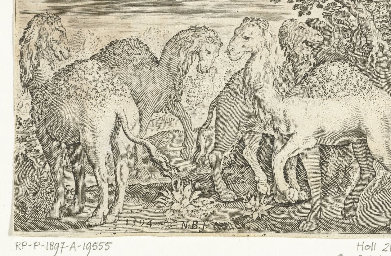 أربعة جمال Animalivm Qvadrvpedvm (عنوان المسلسل) الحيوانات في المناظر الطبيعية (عنوان السلسلة) بواسطة نيكولايس دي بروين