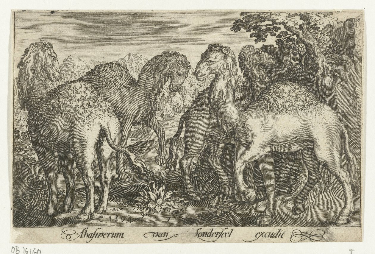 أربعة جمال Animalivm Qvadrvpedvm (عنوان المسلسل) الحيوانات في المناظر الطبيعية (عنوان السلسلة) بواسطة نيكولايس دي بروين
