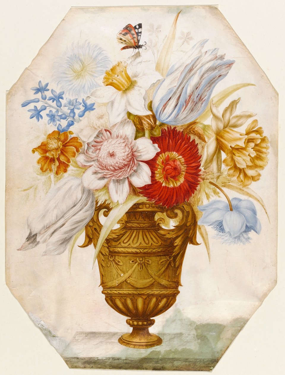 لا تزال الحياة من الزهور في مزهرية تقف على حافة مع فراشة تستريح على النرجسي (wc und gouache on vellum) بواسطة نيكولاس روبرت
