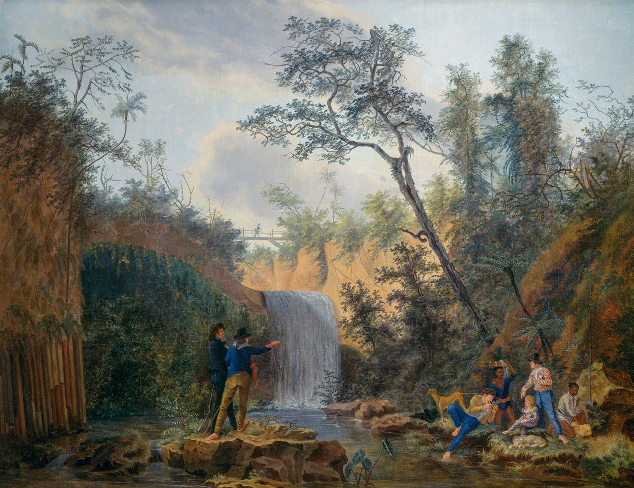 بعثة نباتية فرنسية إلى أمريكا ، زيت على قماش لنيكولا ديدييه بوجيه (1755-1839) بواسطة نيكولا ديدييه بوجوت