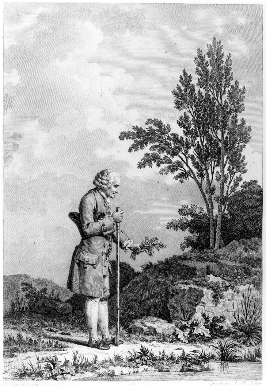 جان جاك روسو (1712-78) جمع الأعشاب في إرمينونفيل ، 1778 ، نقشها لويس ميشيل هالبو (مواليد 1730) بواسطة نيكولاس أندريه مونسياو
