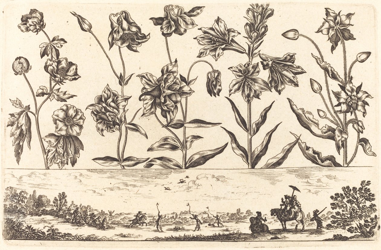 طباعة زهرة رقم 6 بواسطة نيكولاس كوشين بعد Balthasar Moncornet