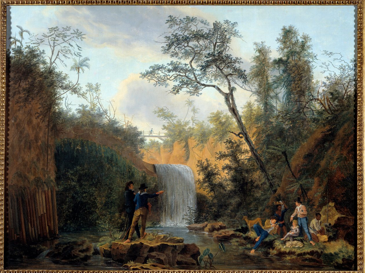 رحلة استكشافية لعالم نباتات في أمريكا الجنوبية لوحة رسمها نيكولا ديدييه بوجيه (1755-1839) القرن الثامن عشر لا روشيل ، متحف دو نوفو موند بواسطة نيكولا ديدييه بوجوت