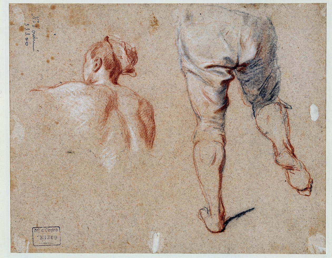 دراسة علم التشريح رسم زيتي لنيكولاس فيلولز (1668-1737) القرن الثامن عشر ، باريس ، متحف اللوفر بواسطة نيكولا فليوجيلز