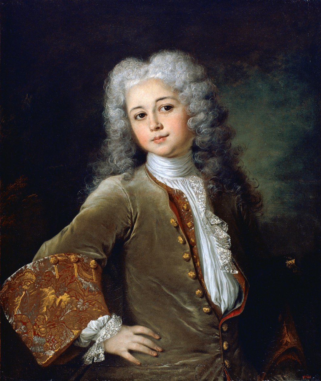 صورة لشاب يرتدي باروكة - صورة لشاب يرتدي باروكة - لوحة لنيكولاس دي لارجيليير (1656-1746) - أم 1700 - زيت على قماش - 72.5 × 61 - المتحف الوطني لفنون كاتالونيا ، برشلونة بواسطة نيكولاس دي لارجيليير