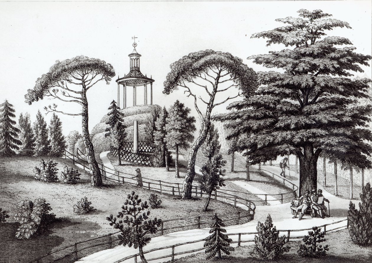 المتاهة من Jardin des Plantes ، باريس ، محفورة من قبل فرانسوا أوبيرتين (177383-1821) بواسطة نيكولاس الأصغر هويت