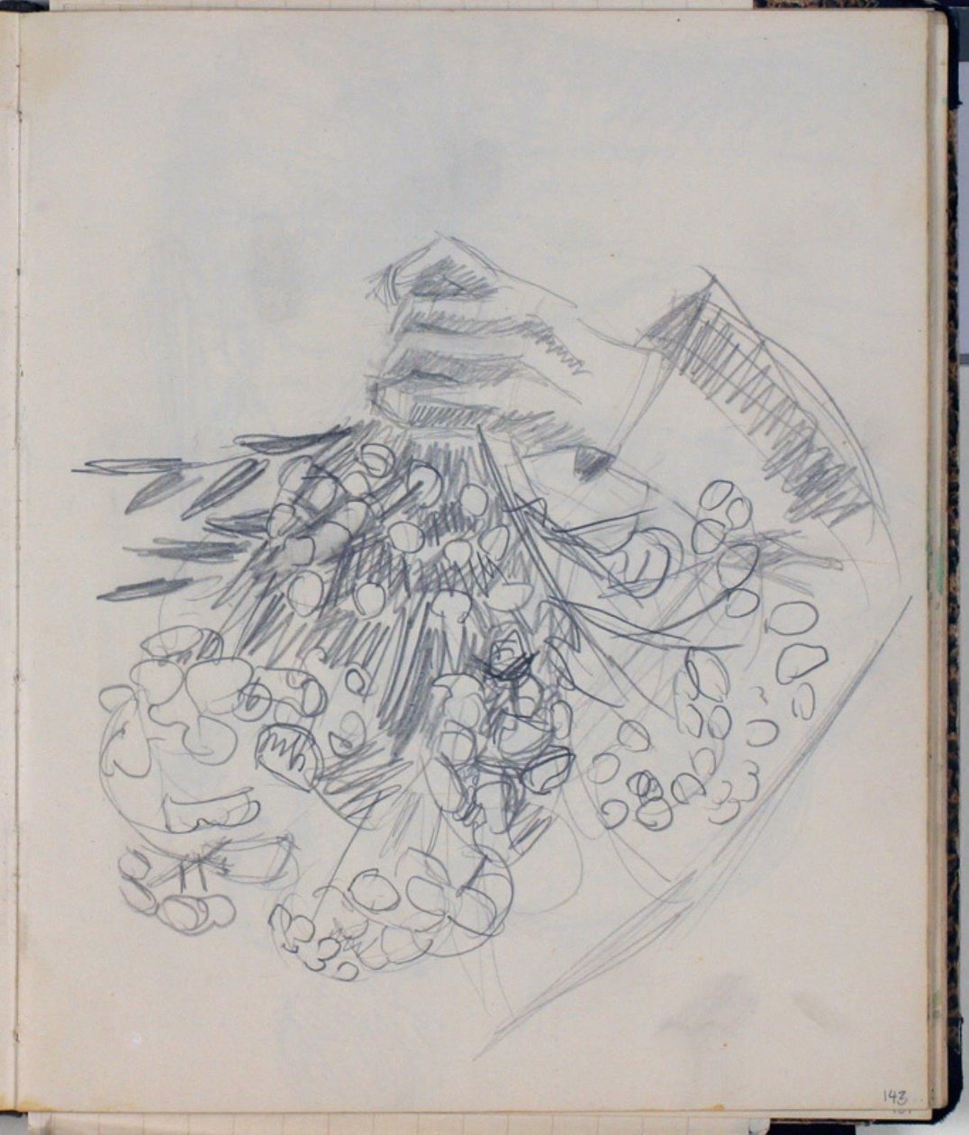 ذراع HC Andersen الأيمن. رسم تخطيطي لـ "Meadow by Nysø" (Odense) بواسطة نيلز لارسن ستيفنز