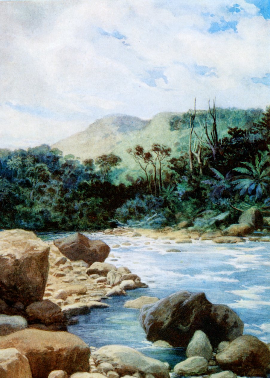 مشهد في Eromanga ، نيو هيبرايدس ، 1908 بواسطة نورمان هاردي