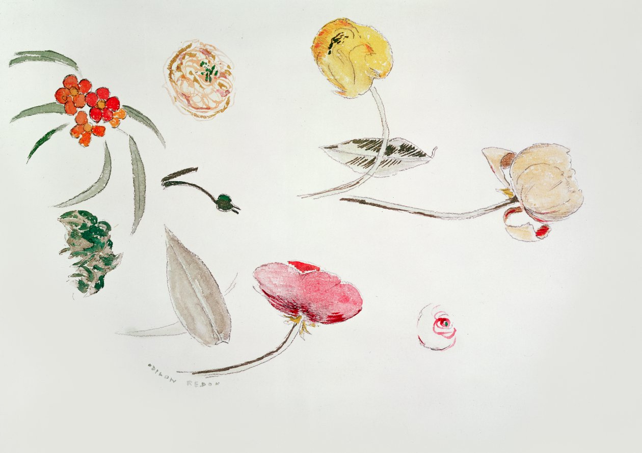 دراسة الزهور بواسطة Odilon Redon