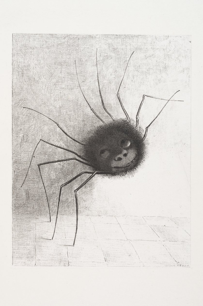 يبتسم العنكبوت ، 1881 بواسطة Odilon Redon