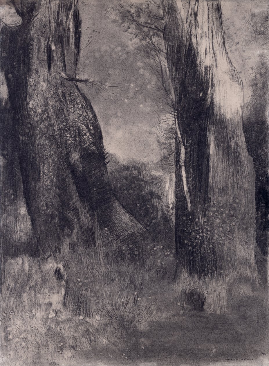 الأشجار ، 1890 (فحم على ورق) بواسطة Odilon Redon