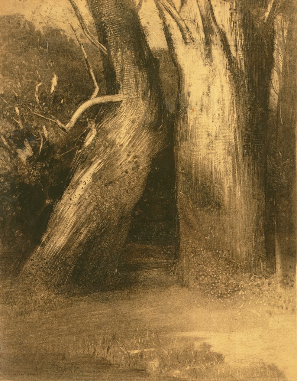 شجرتان ، c.1875 (فحم على ورق) بواسطة Odilon Redon