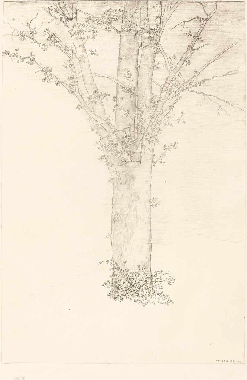 شجرة بواسطة Odilon Redon