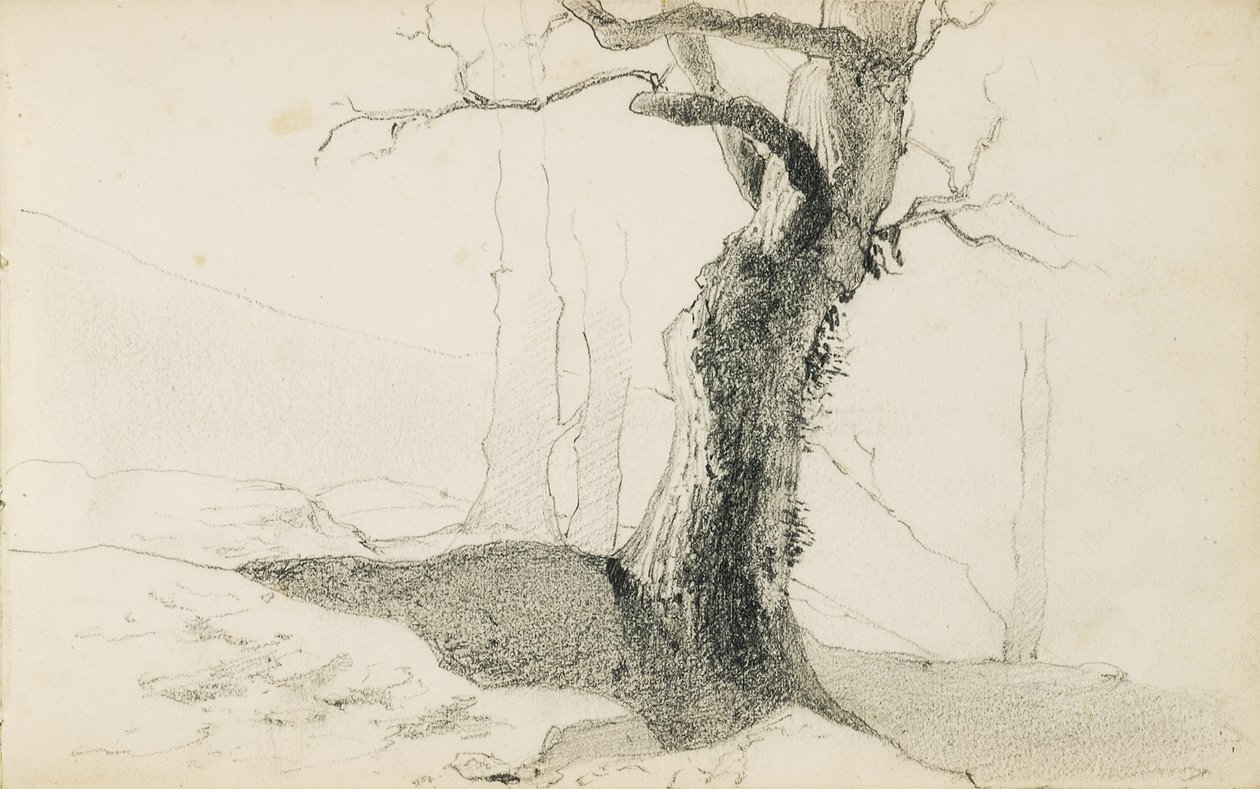 رسم من ألبوم بعنوان "بلاد الباسك" ، 1862-1863 بواسطة Odilon Redon