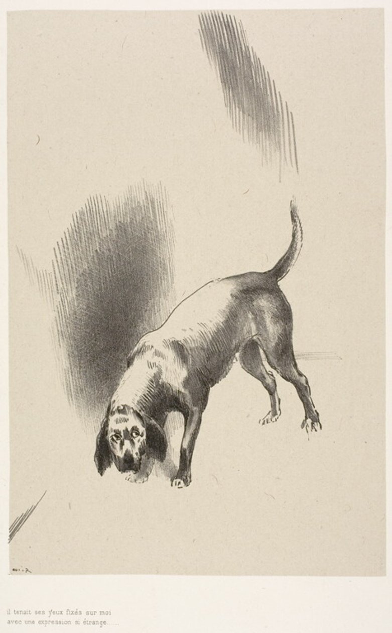  بواسطة Odilon Redon