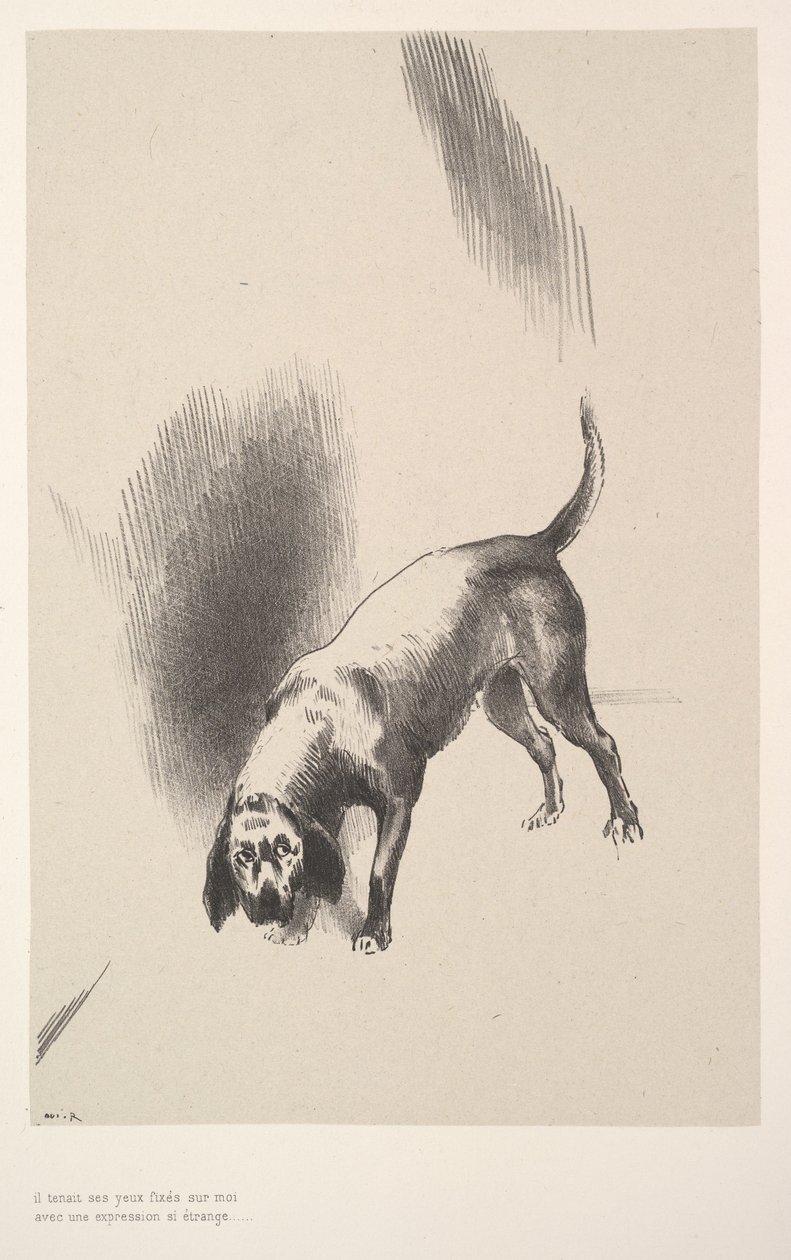ثبت عينيه عليّ بتعبير غريب للغاية ، 1896. بواسطة Odilon Redon